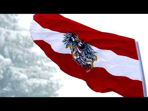 Wilfried - Lauf Hase lauf