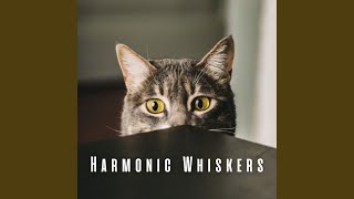 Dreamy Catnap Tempest