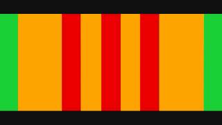 The Vietnam Vet - Don Ray