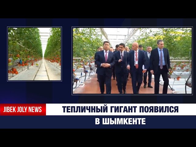 Тепличный гигант появился в Шымкенте