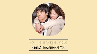 김이지 (Kim EZ) – Because of You [Han|Rom|Eng] Lyrics Introverted Boss OST Part 5