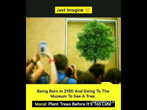 @quick_tips123 !! Short Film Video !! #3761* ✨#shortfilm #youtube #shortfilming #shortvideo #video ✨