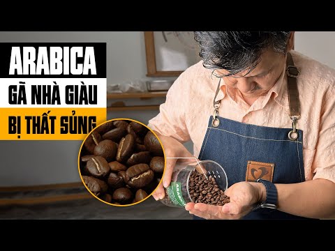 Vì sao người Việt “ CHÊ ”Arabica ?