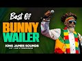 🔥 BEST OF BUNNY WAILER - THE LIVING LEGEND - REGGAE MIX{COOL RUNNINGS, BODERATION, ROCK N GROOVE}