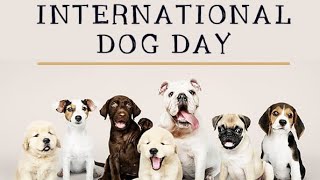 Happy International Dog Day WhatsApp Status | Dog Lovers WhatsApp Status | Happy Dog day | Dog Day?