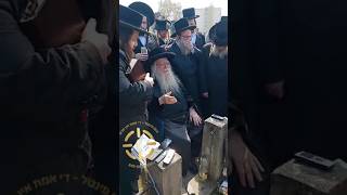 האדמו״ר מניקלשבורג בתפילה בקברי אבותיו בעיירת ניקלשבורג
