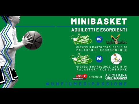 Minibasket | Aquilotti e Esordienti