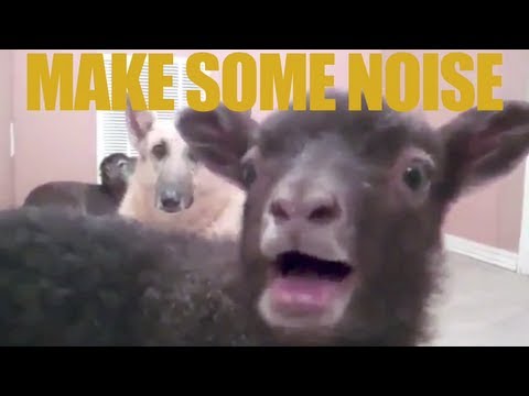 Goats (Yelling Like Humans) Make Some Noise