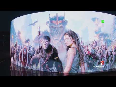 Un Fenómeno Global [VOSE]