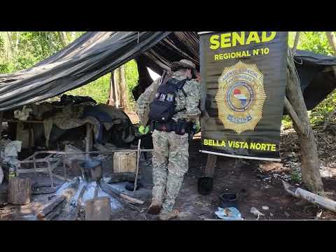 SENAD apreende quase 10 toneladas de maconha em Bella Vista Norte