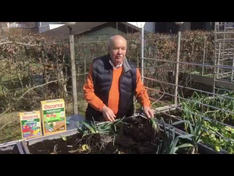 Frühlingsfit: Hochbeet-Vorbereitung für reiche Ernte