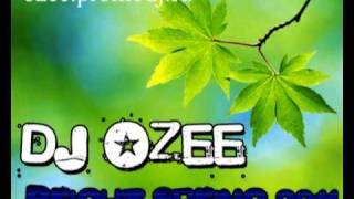 ELECTRO HOUSE 2011 (Bright Spring 2011) DJ OZEE (Preview)