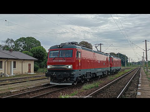 LEMA 013 trece izolata cu LEMA 003 defecta