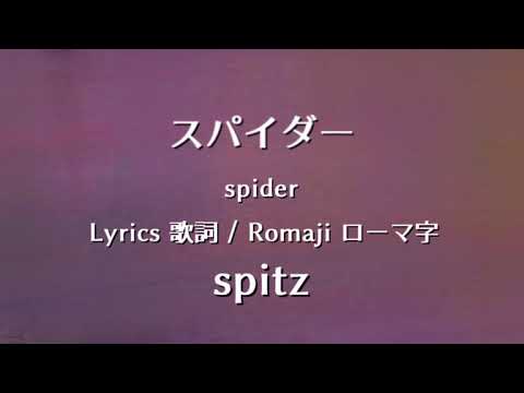 Spider video
