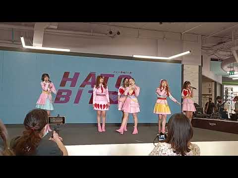Forget Me Not - HatoBito (Live at BHF Iconic Idol Fest 2022)