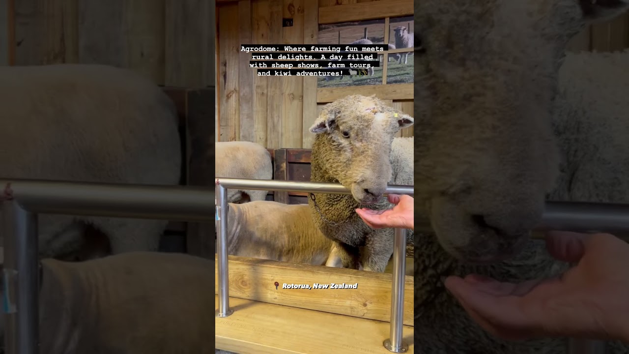 YouTube Short thumbnail