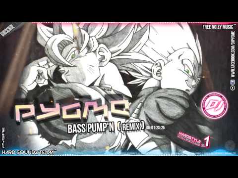 DJ Harmonics - Bass Pump'n (DJ Pygme Remix)