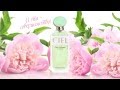 Парфюмерия: ГРАНДИОЗНАЯ НОВИНКА! Аромат CIEL от CIEL parfum 