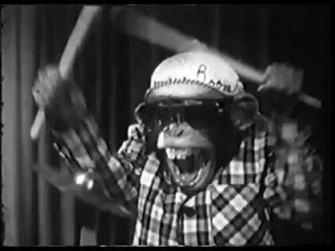 Outback Snakes - Catharsis (Official Video)