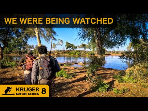 An Unforgettable Guided Bush Walk in Kruger National Park 🇿🇦