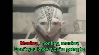 Peter Gabriel - Shock The Monkey (omv)  LYRICS