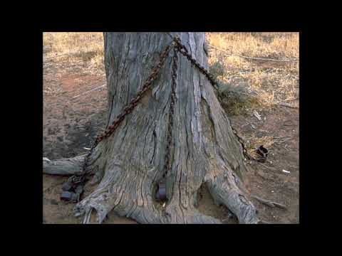 INTRANQUIL SPIRITS CAN DO GOOD ALSO