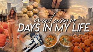 AUTUMN DAYS IN MY LIFE | cozy clothing haul, baking pumpkin bagels, & something I’ve been avoiding…