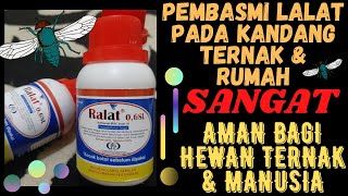 Download lagu RACUN PEMBASMI LALAT AMPUH MENGUSIR LALAT DI KANDANG HEWAN TERNAK DAN LALAT DI RUMAH | OBAT RALAT mp3