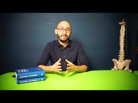 Jak diagnozować, leczyć ból brzucha?