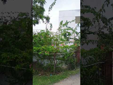 3D Tour Of Sai Sun Paraiso