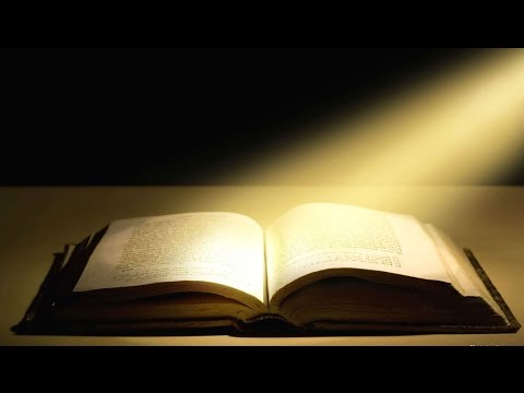 The Holy Bible - Book 43 John  - HCSB Audio