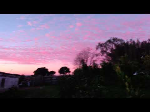 [free] midwest emo x lilac type beat - "too late"