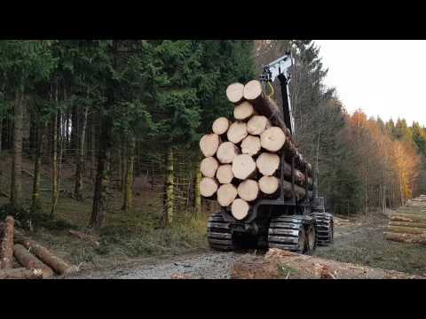 Ponsse Elk loading big logs