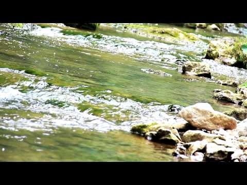 Ramazan 1433 / 2012 - HADIS DANA 21 - www.muslim-media.org