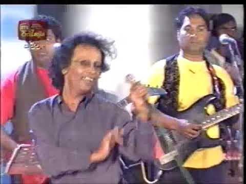 Nihal nelson with sunflower