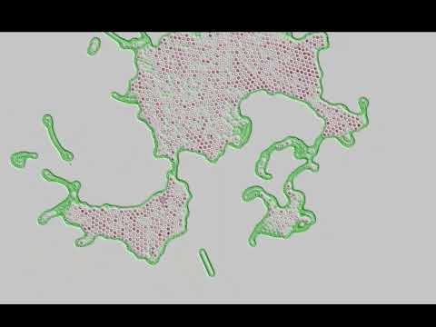 Real-time Particle Lenia with 16k points (4K)