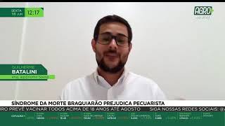 Miniatura do vídeo