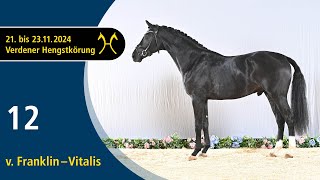 Video von Hengst von Franklin / Vitalis