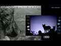 Wolf Attack Sequence Napad Vukova Velebit