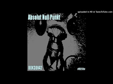 A.N.P / ABSOLUT NULL PUNKT (KK Null) '80X30X42' Live @ Instants Chavirés France 2008 (FULL SET) Rare
