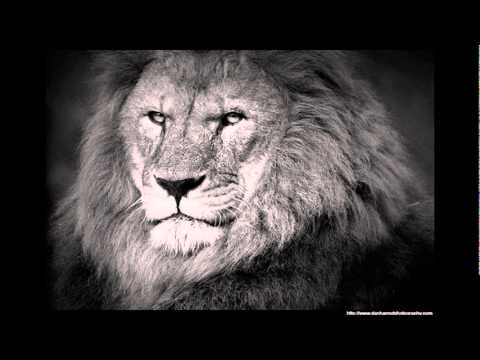 Guy Gerber - Persona Non Grata