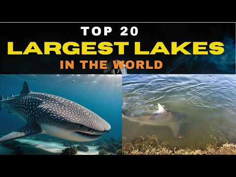 The LARGEST LAKES In The World| [20 BIGGEST STUNNING LAKES]| 10 DEEPEST LAKES IN THE WORLD