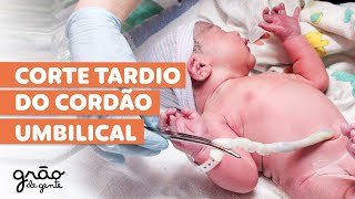POR QUE ESPERAR PARA CORTAR O CORDÃO UMBILICAL APÓS O PARTO?