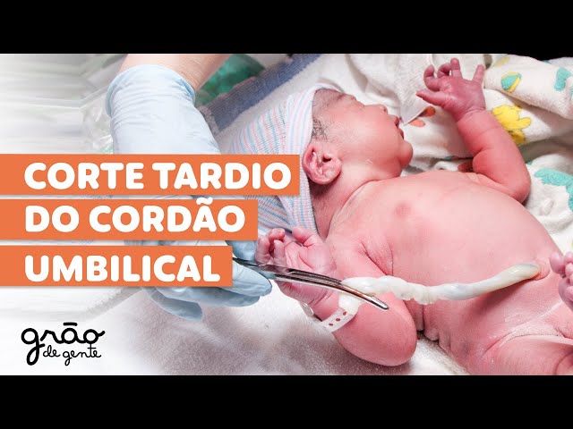 POR QUE ESPERAR PARA CORTAR O CORDÃO UMBILICAL APÓS O PARTO?