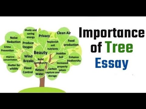 Speech/lines/essay/paragraph on" Importance of Trees". Let's Learn English and Paragraphs. Video