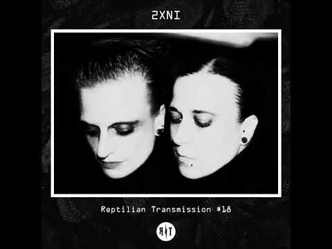 Reptilian Transmission #18 2XNI