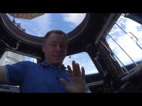Check-6 Foundation: Message from Astronaut Nick Hague to Pilot for a Day O'Rian Jolley