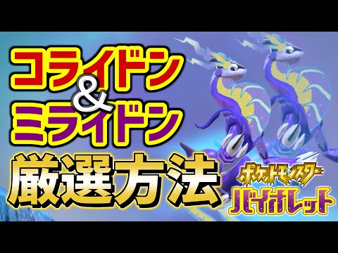 【やる前に絶対見て!!】コライドン＆ミライドンの厳選する際に気を付けること【Pok&eacute;mon SV/ポケモンスカーレット・バイオレット】