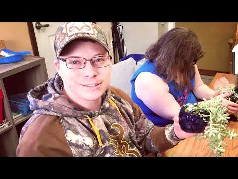 Virginia Home Grown: Full Pocket Farm; Unique Hydroponic System