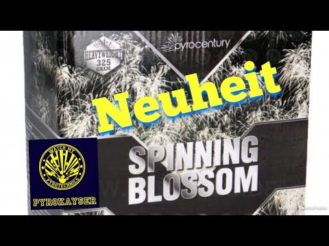 Pyrocentury Spinning Blossom / Neuheit 2018 / Full HD